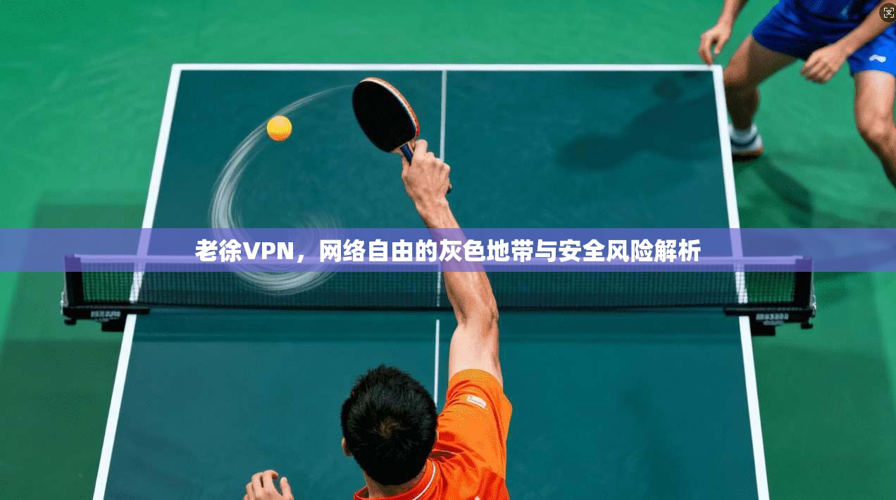 老徐VPN,网络自由的灰色地带与安全风险解析 老徐VPN,网络自由的灰色地带与安全风险解析