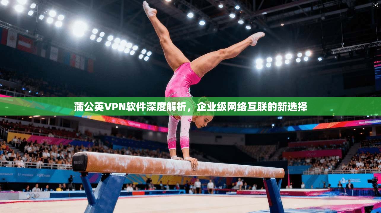 蒲公英VPN软件深度解析,企业级网络互联的新选择 蒲公英VPN软件深度解析,企业级网络互联的新选择