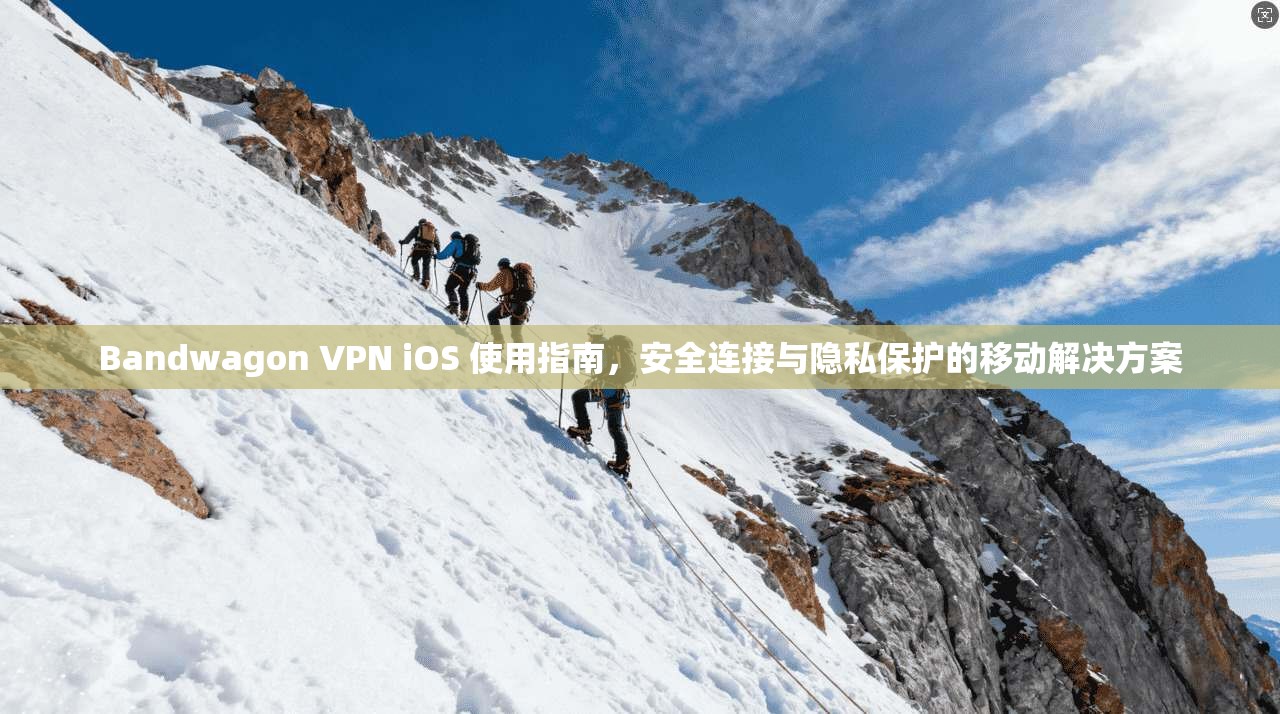 Bandwagon VPN iOS 使用指南,安全连接与隐私保护的移动解决方案 Bandwagon VPN iOS 使用指南,安全连接与隐私保护的移动解决方案