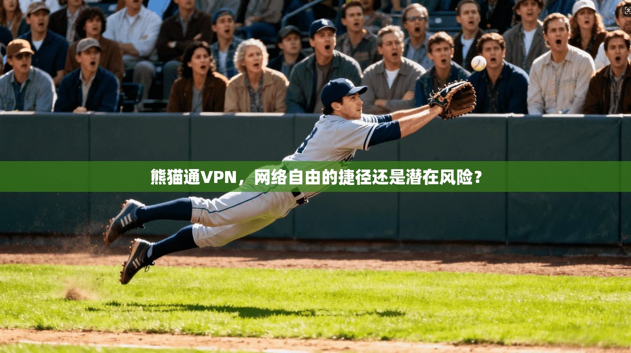 熊猫通VPN,网络自由的捷径还是潜在风险? 熊猫通VPN,网络自由的捷径还是潜在风险?