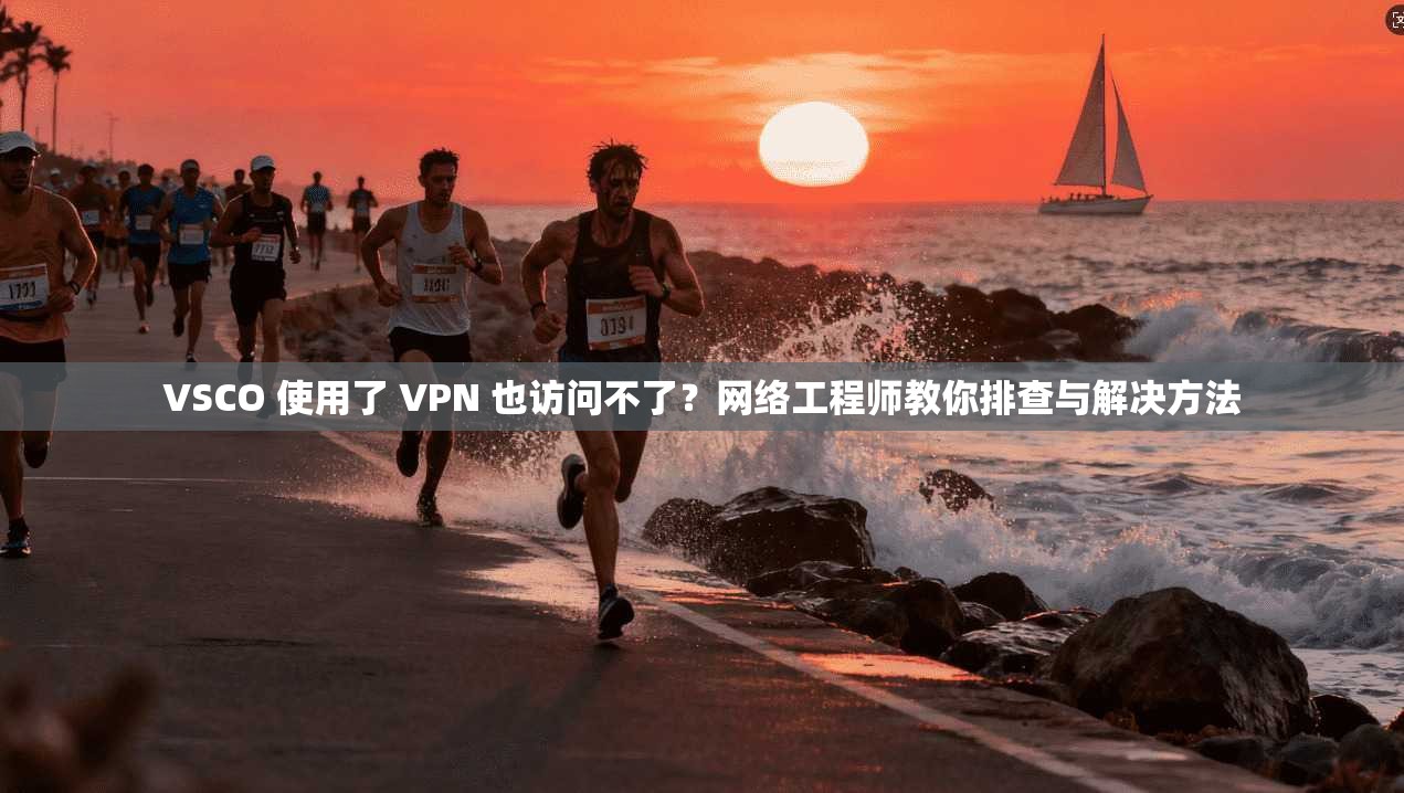 VSCO 使用了 VPN 也访问不了?网络工程师教你排查与解决方法 VSCO 使用了 VPN 也访问不了?网络工程师教你排查与解决方法