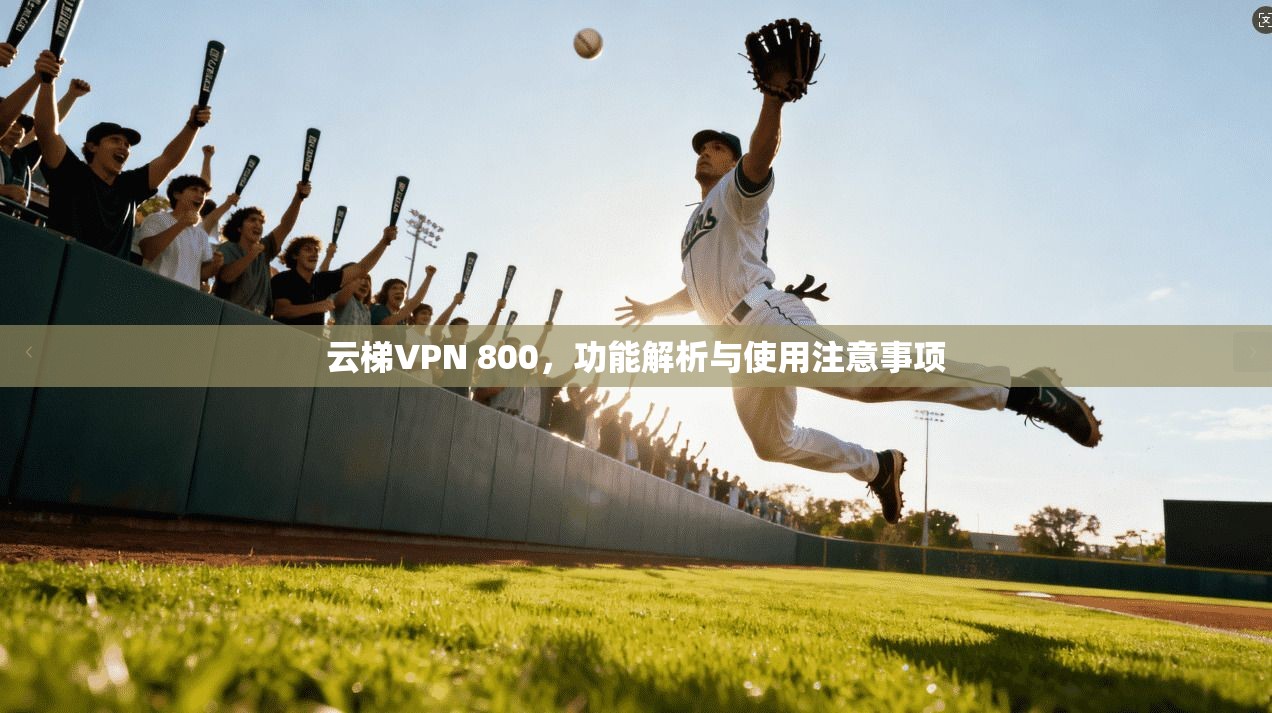 云梯VPN 800，功能解析与使用注意事项