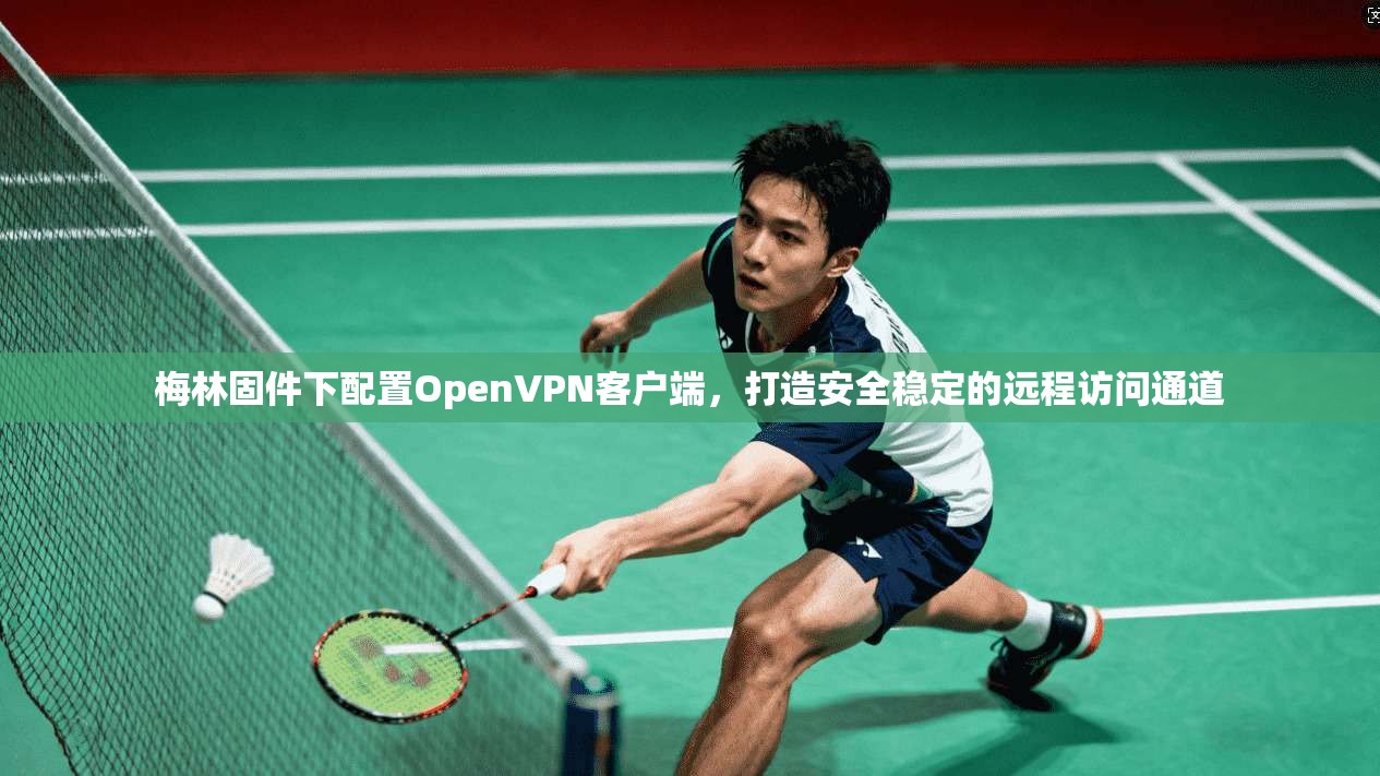 梅林固件下配置OpenVPN客户端，打造安全稳定的远程访问通道