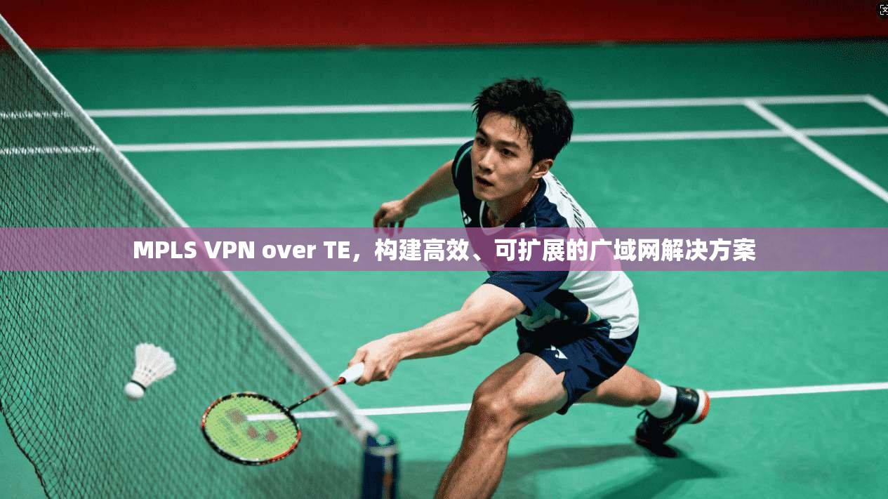 MPLS VPN over TE，构建高效、可扩展的广域网解决方案