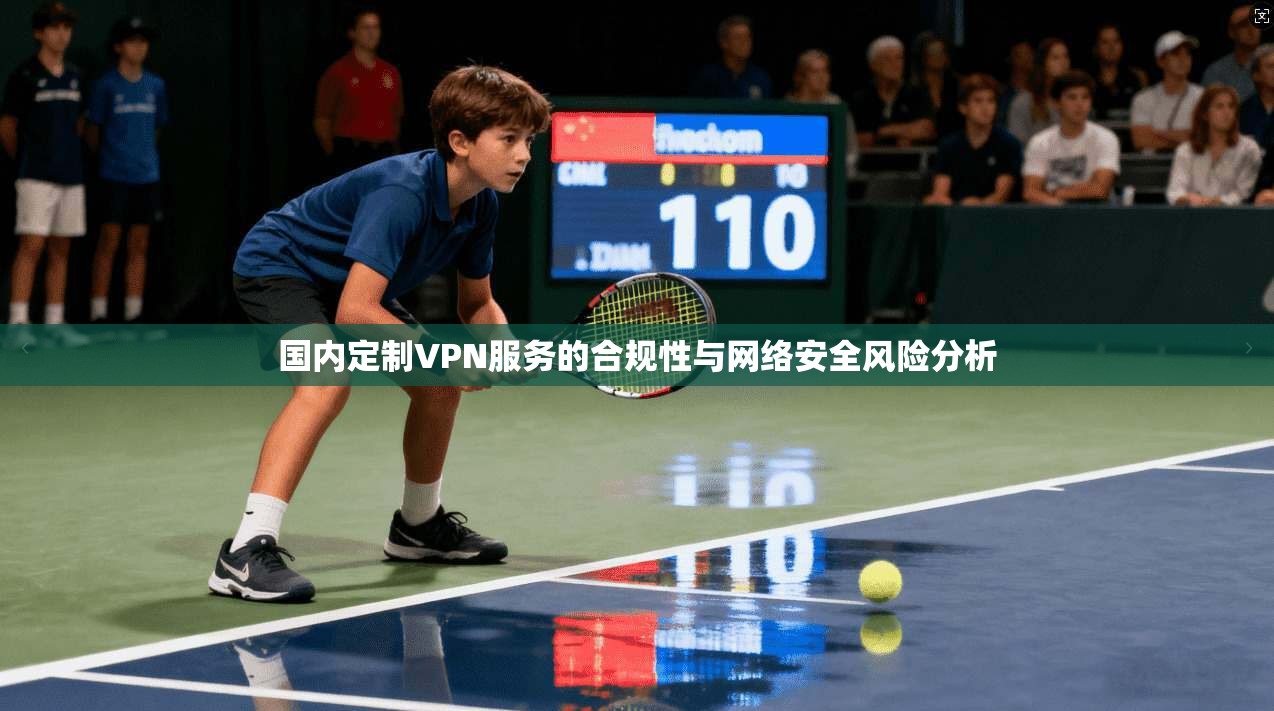 国内定制VPN服务的合规性与网络安全风险分析