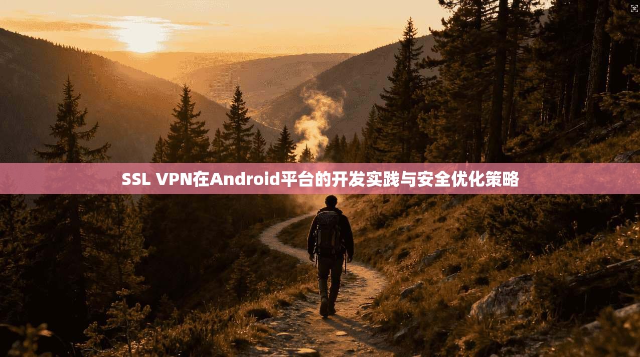 SSL VPN在Android平台的开发实践与安全优化策略 SSL VPN在Android平台的开发实践与安全优化策略