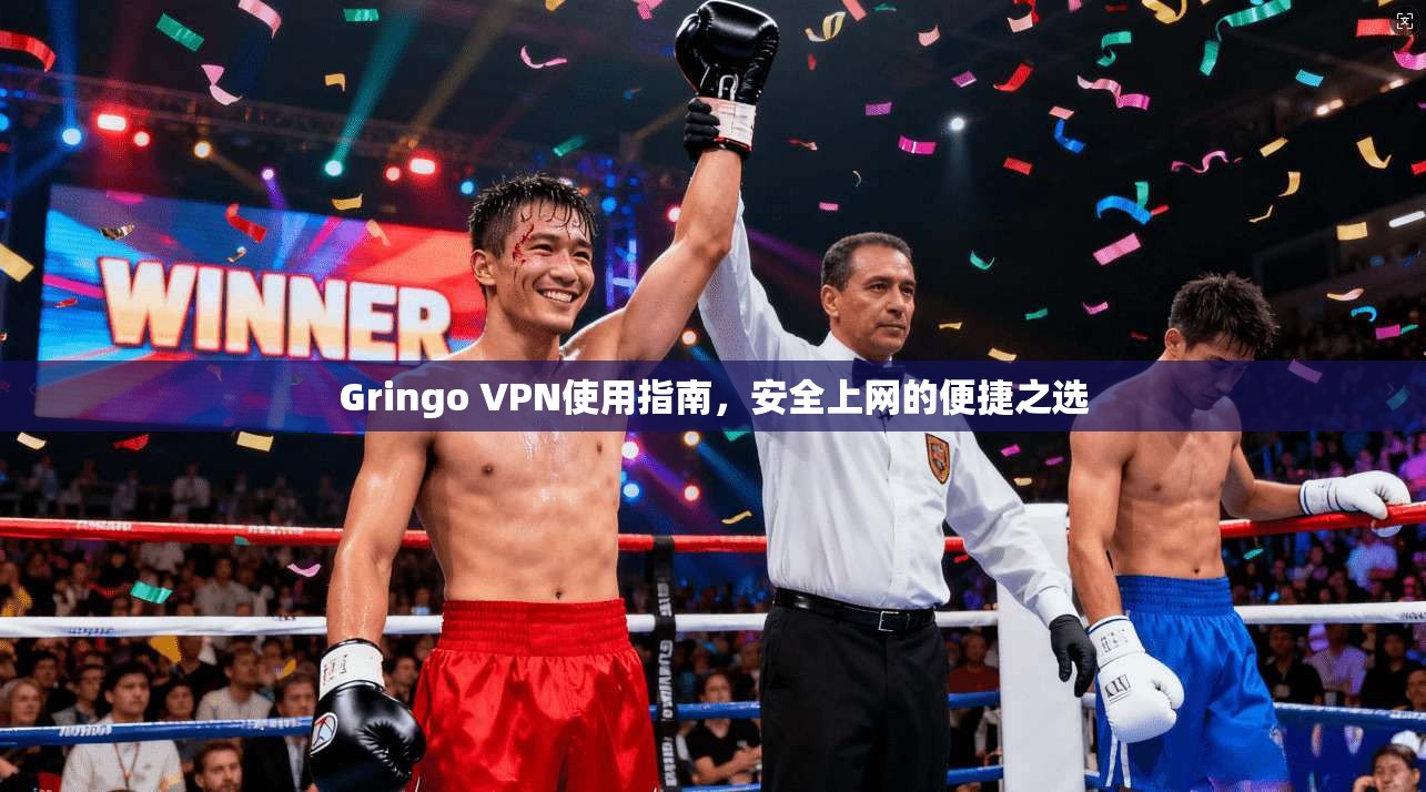 Gringo VPN使用指南，安全上网的便捷之选