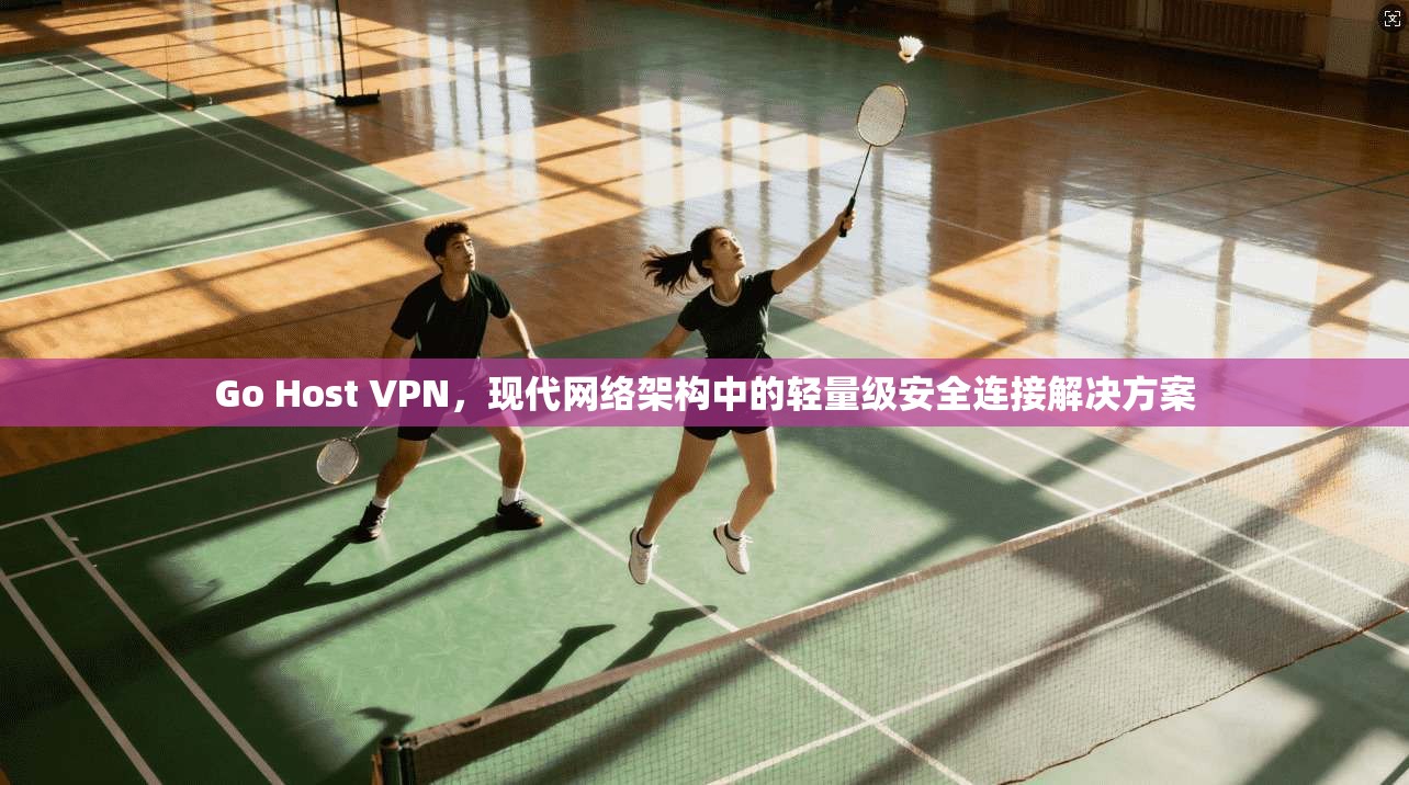 Go Host VPN,现代网络架构中的轻量级安全连接解决方案 Go Host VPN,现代网络架构中的轻量级安全连接解决方案