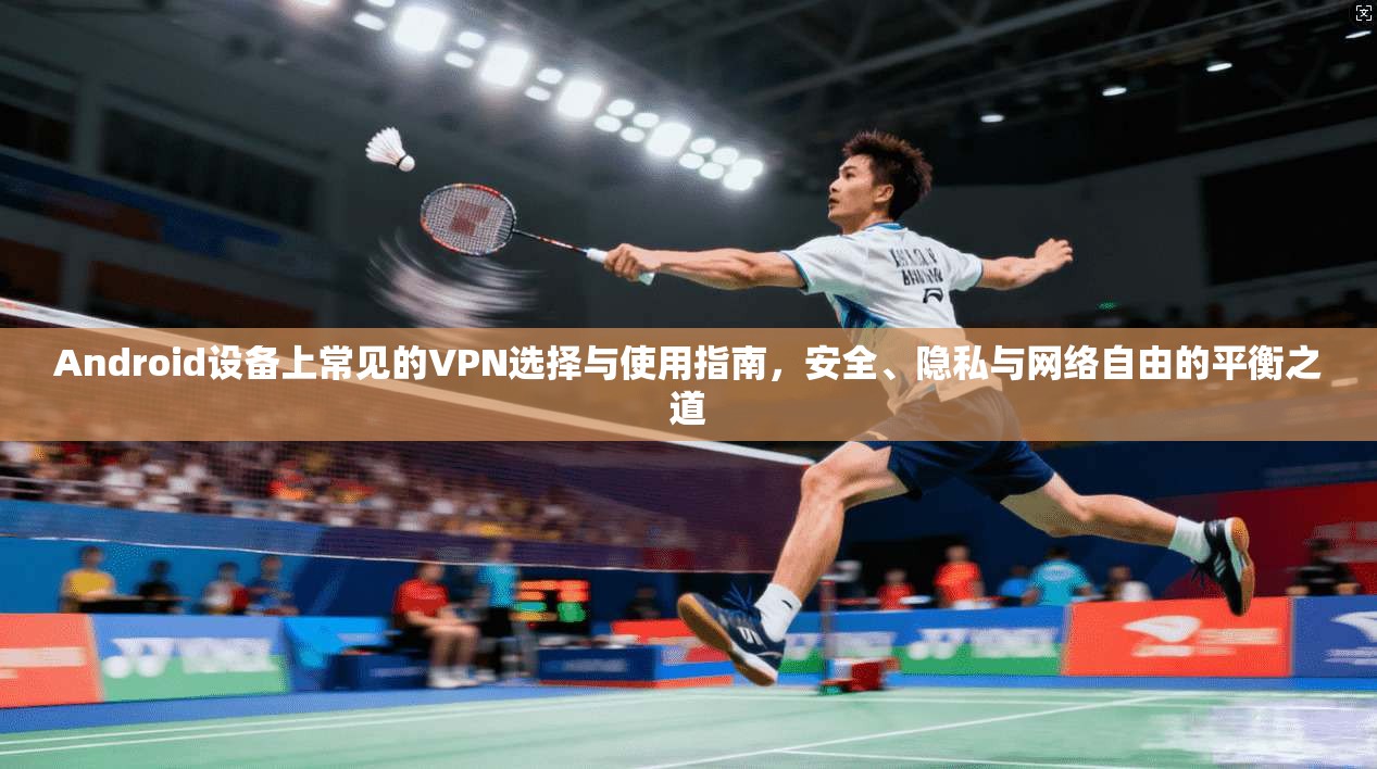 Android设备上常见的VPN选择与使用指南,安全、隐私与网络自由的平衡之道 Android设备上常见的VPN选择与使用指南,安全、隐私与网络自由的平衡之道