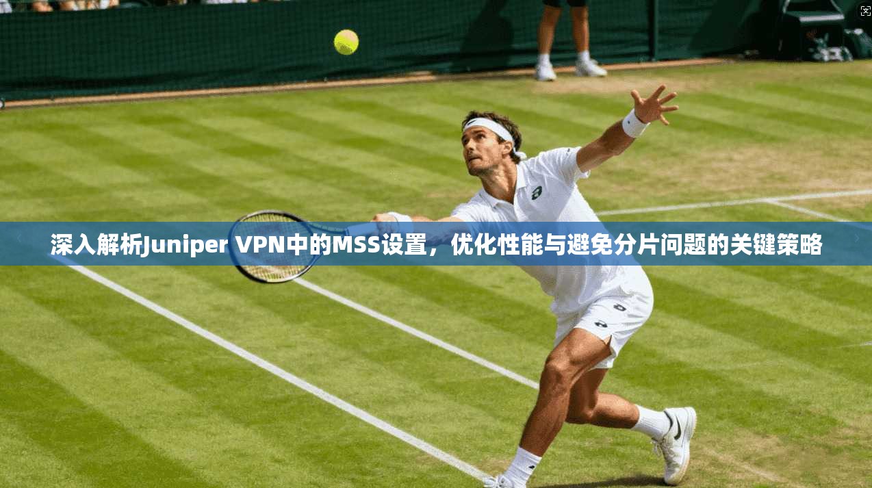 深入解析Juniper VPN中的MSS设置,优化性能与避免分片问题的关键策略 深入解析Juniper VPN中的MSS设置,优化性能与避免分片问题的关键策略