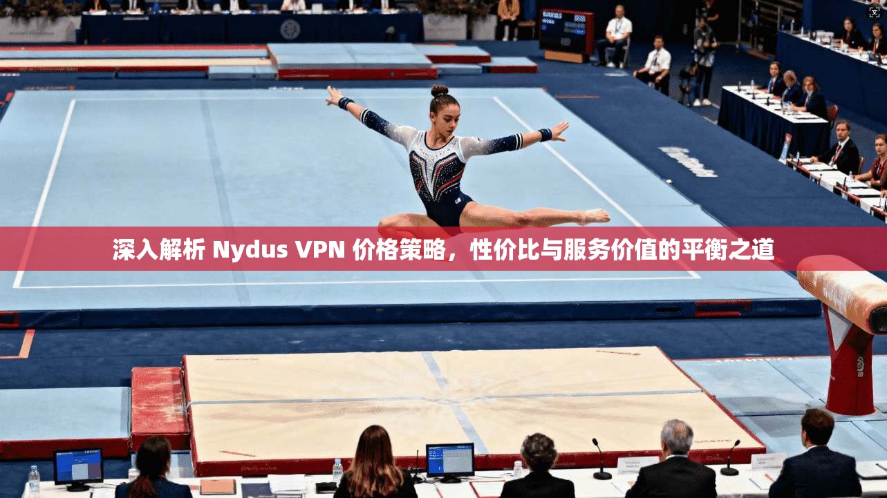 深入解析 Nydus VPN 价格策略,性价比与服务价值的平衡之道 深入解析 Nydus VPN 价格策略,性价比与服务价值的平衡之道