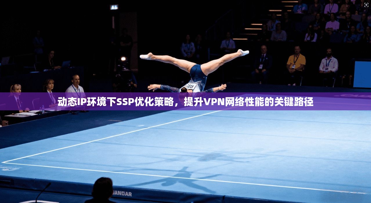 动态IP环境下SSP优化策略,提升VPN网络性能的关键路径 动态IP环境下SSP优化策略,提升VPN网络性能的关键路径
