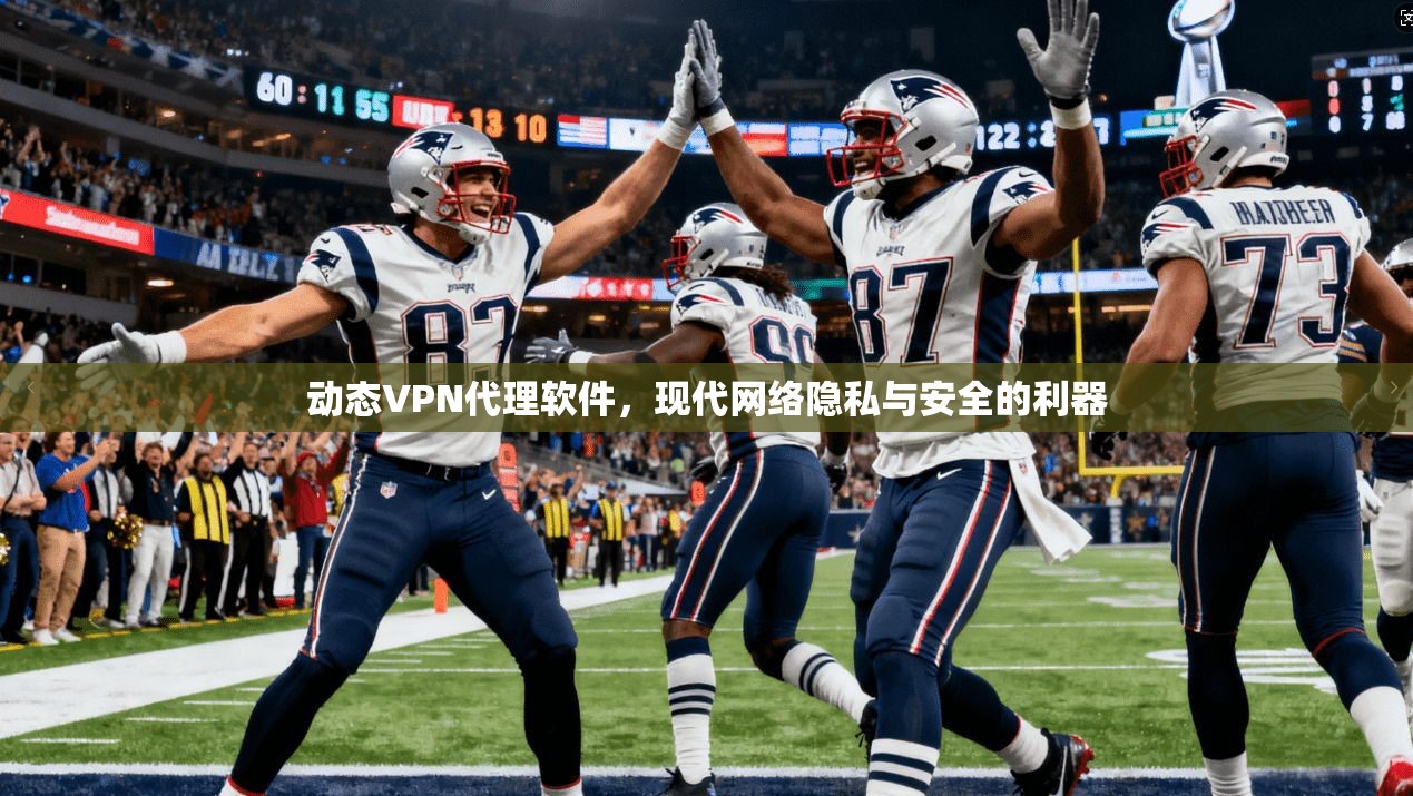 动态VPN代理软件,现代网络隐私与安全的利器 动态VPN代理软件,现代网络隐私与安全的利器