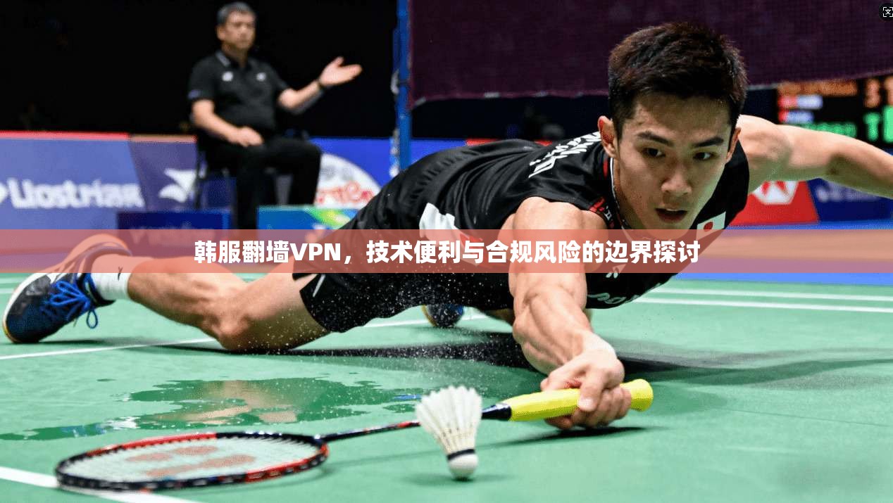 韩服翻墙VPN,技术便利与合规风险的边界探讨 韩服翻墙VPN,技术便利与合规风险的边界探讨