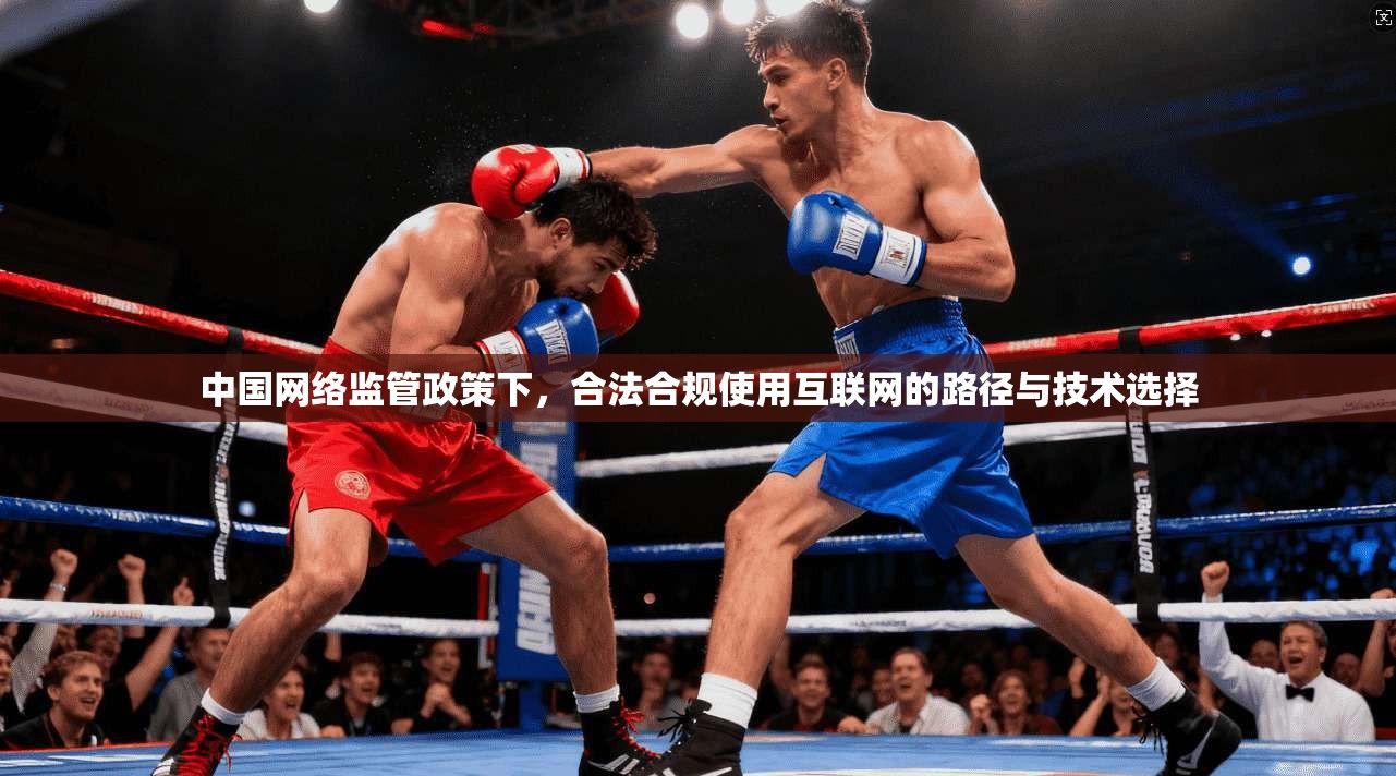 中国网络监管政策下,合法合规使用互联网的路径与技术选择 中国网络监管政策下,合法合规使用互联网的路径与技术选择