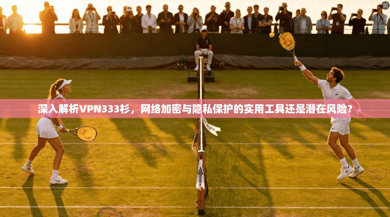 深入解析VPN333杉,网络加密与隐私保护的实用工具还是潜在风险? 深入解析VPN333杉,网络加密与隐私保护的实用工具还是潜在风险?
