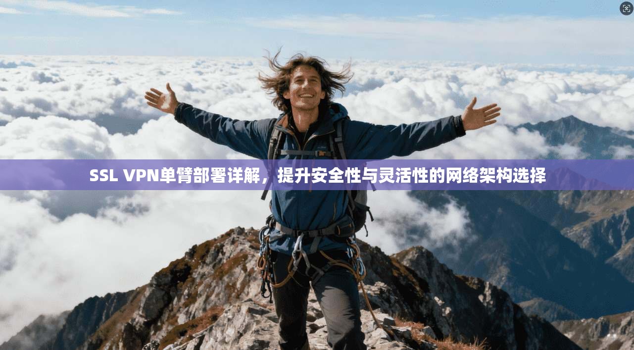 SSL VPN单臂部署详解,提升安全性与灵活性的网络架构选择 SSL VPN单臂部署详解,提升安全性与灵活性的网络架构选择