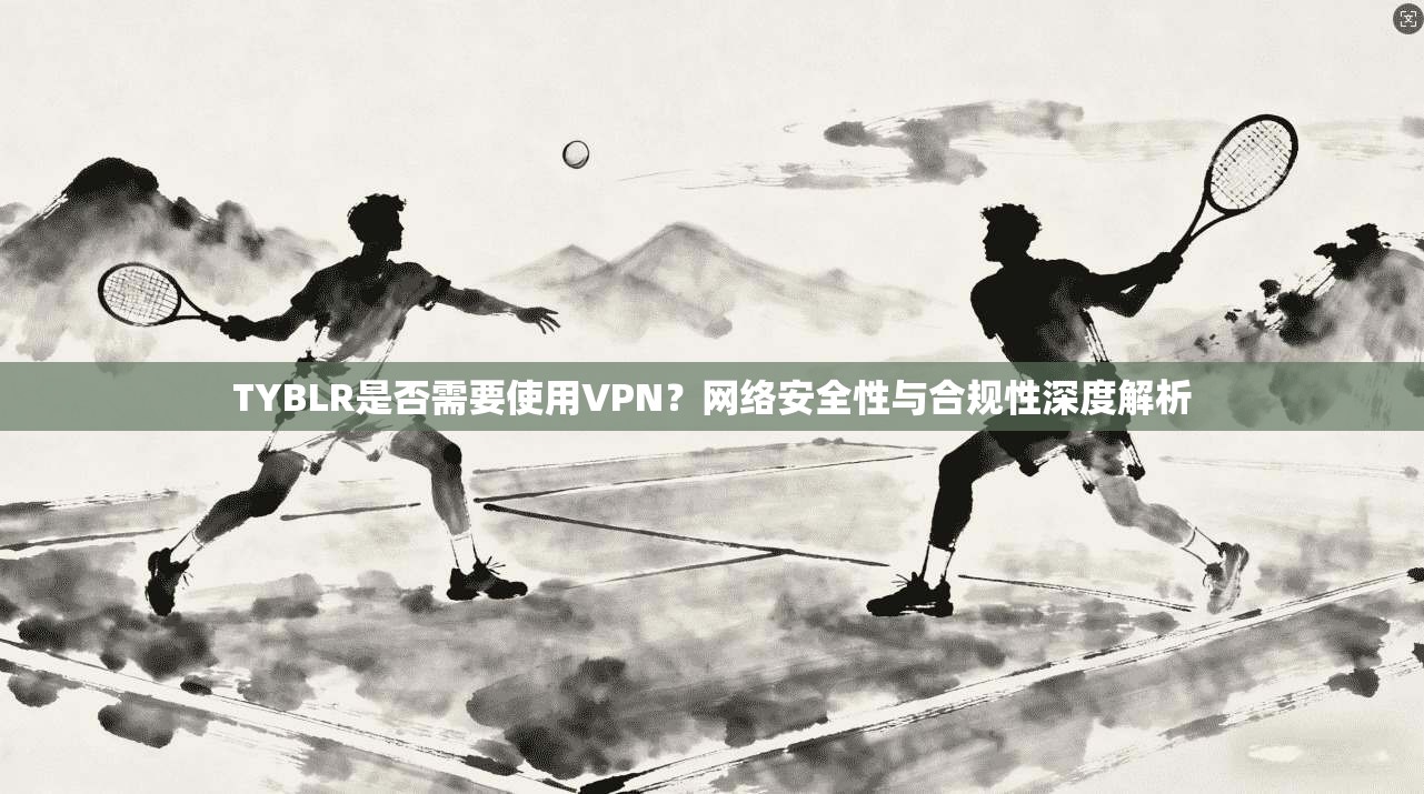 TYBLR是否需要使用VPN？网络安全性与合规性深度解析