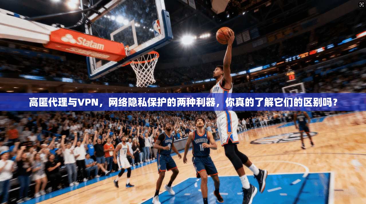 高匿代理与VPN，网络隐私保护的两种利器，你真的了解它们的区别吗？