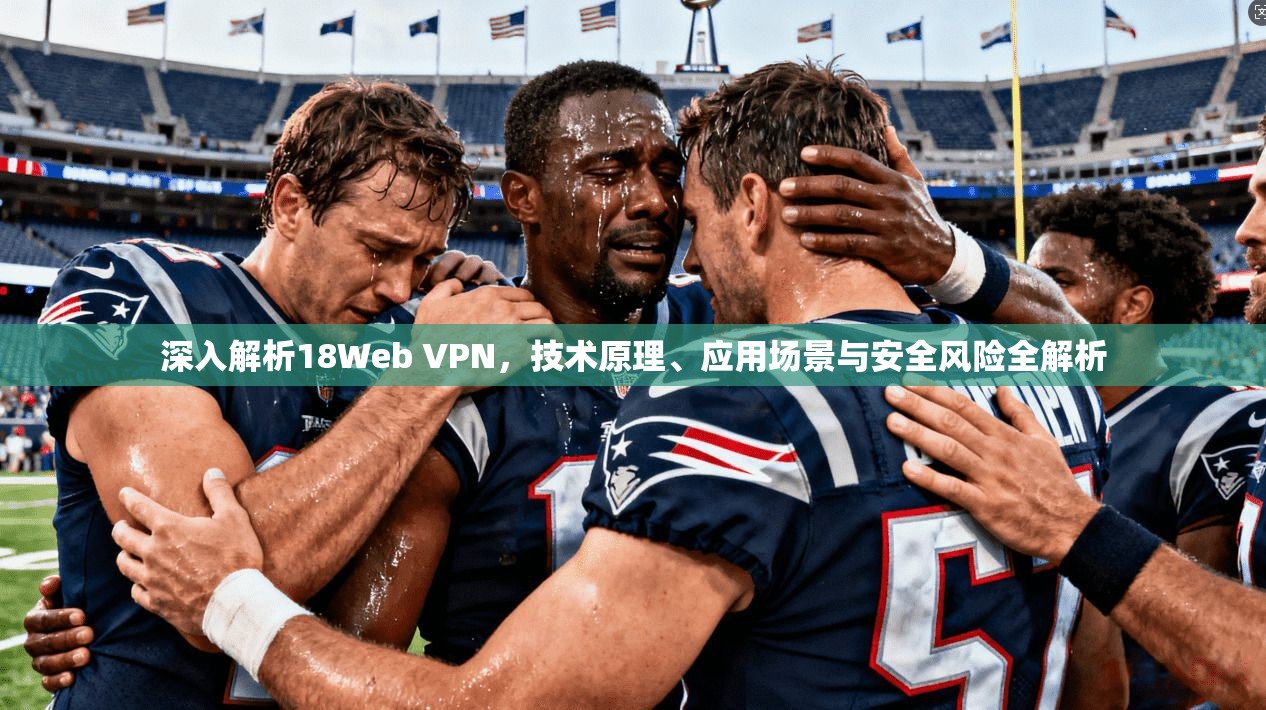 深入解析18Web VPN，技术原理、应用场景与安全风险全解析