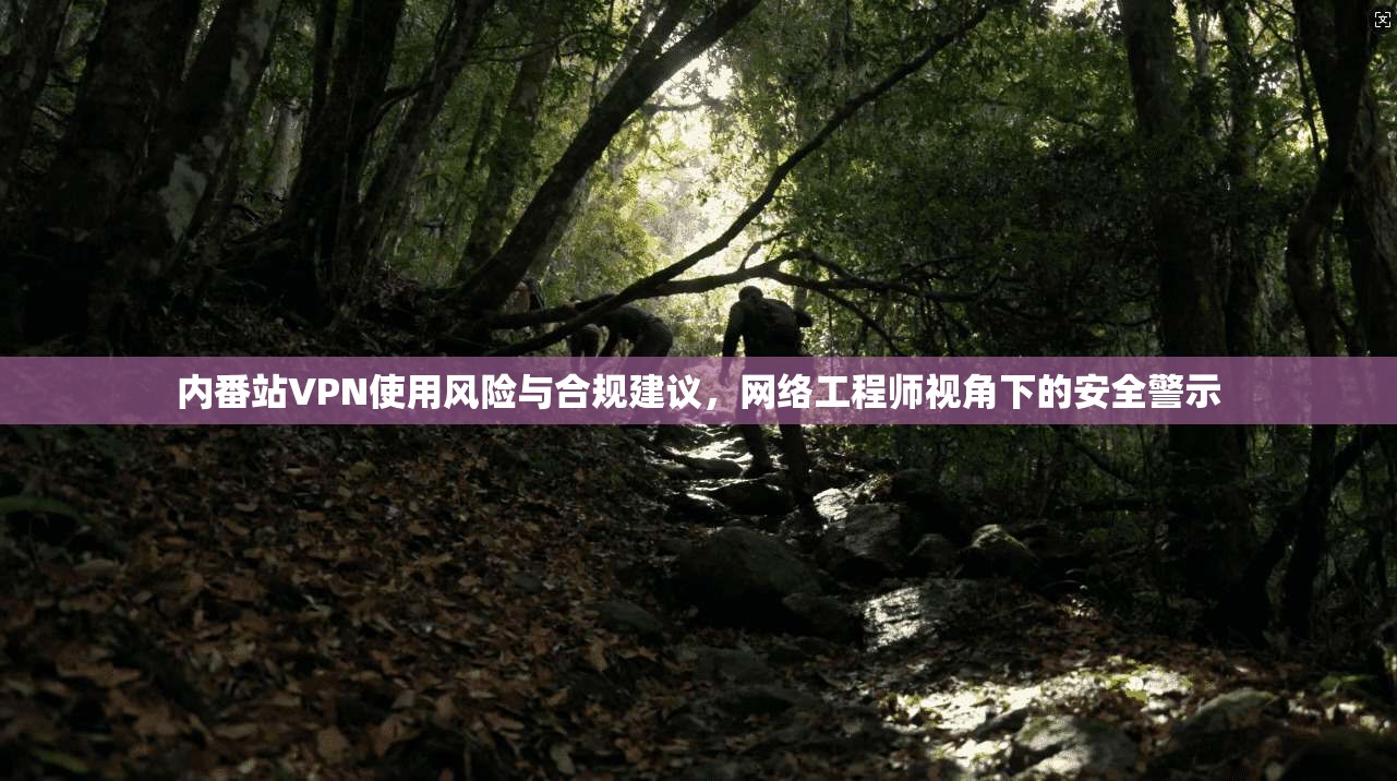 内番站VPN使用风险与合规建议,网络工程师视角下的安全警示 内番站VPN使用风险与合规建议,网络工程师视角下的安全警示