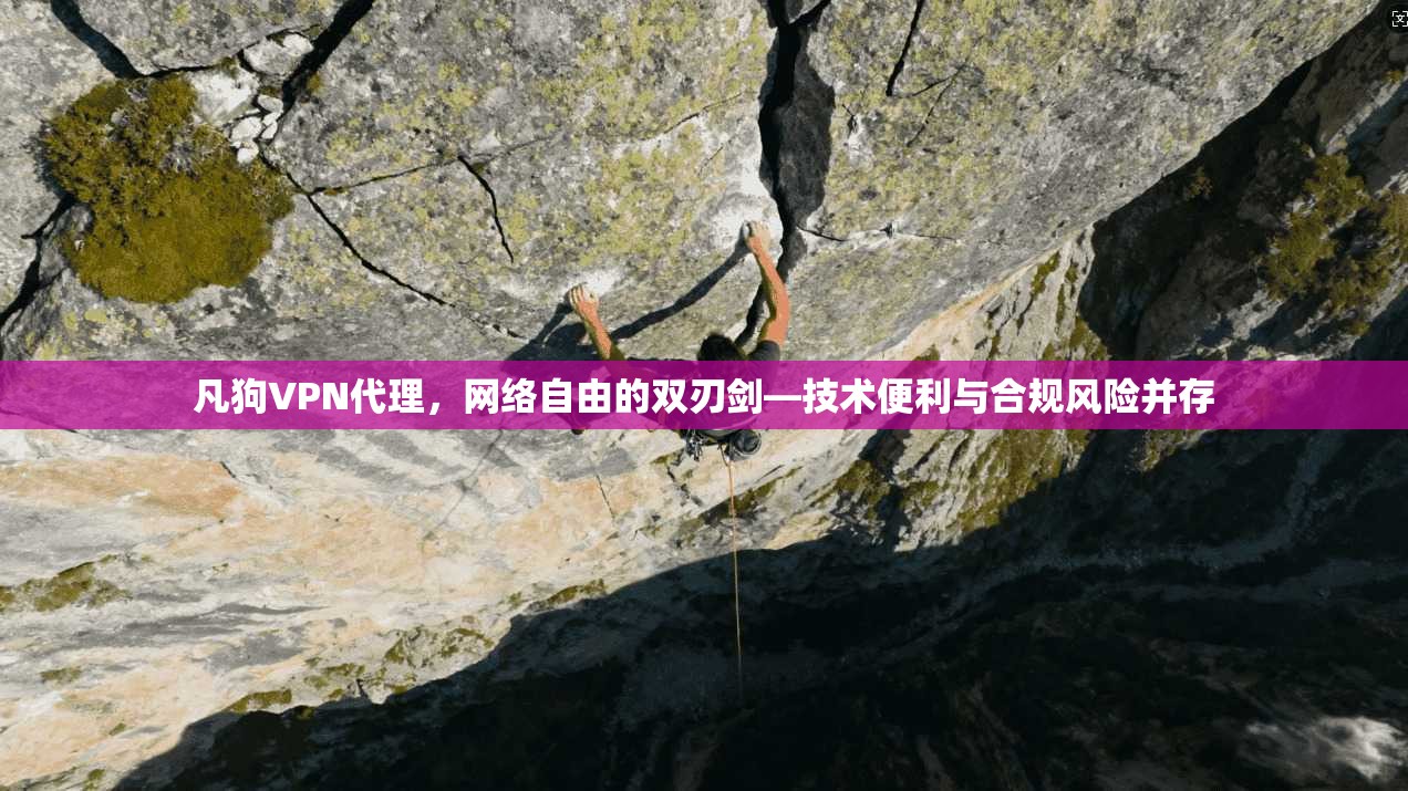 凡狗VPN代理，网络自由的双刃剑—技术便利与合规风险并存