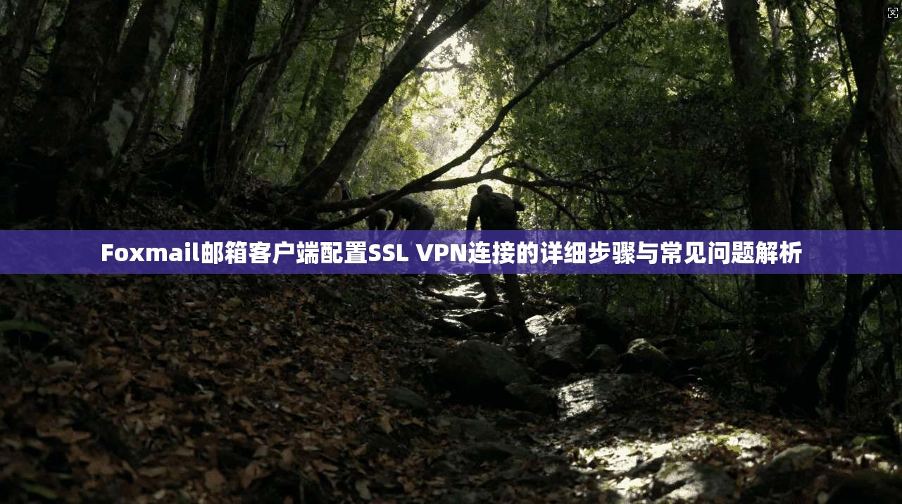 Foxmail邮箱客户端配置SSL VPN连接的详细步骤与常见问题解析 Foxmail邮箱客户端配置SSL VPN连接的详细步骤与常见问题解析