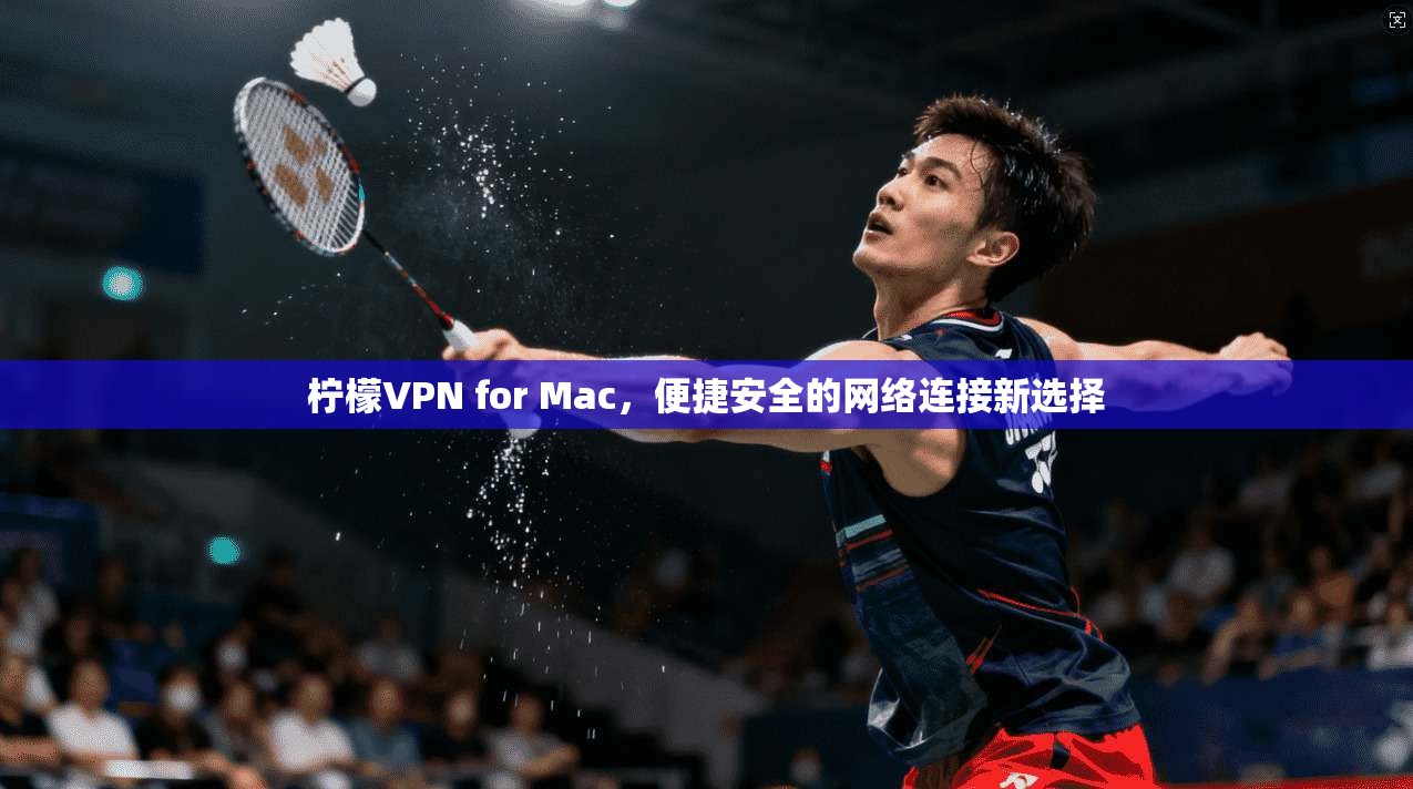 柠檬VPN for Mac，便捷安全的网络连接新选择