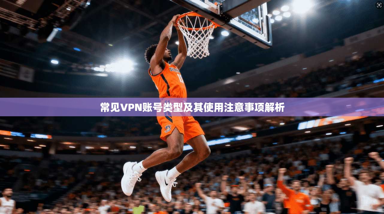 常见VPN账号类型及其使用注意事项解析 常见VPN账号类型及其使用注意事项解析