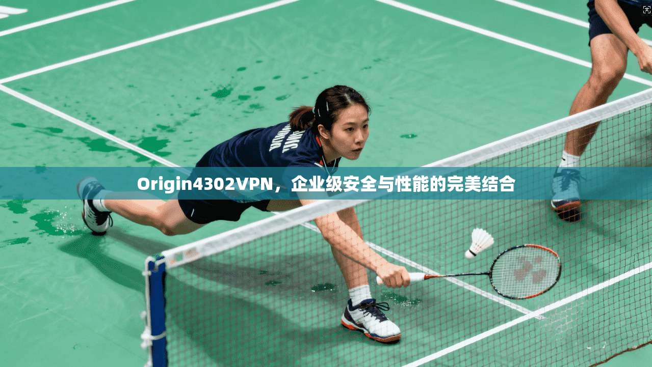 Origin4302VPN，企业级安全与性能的完美结合