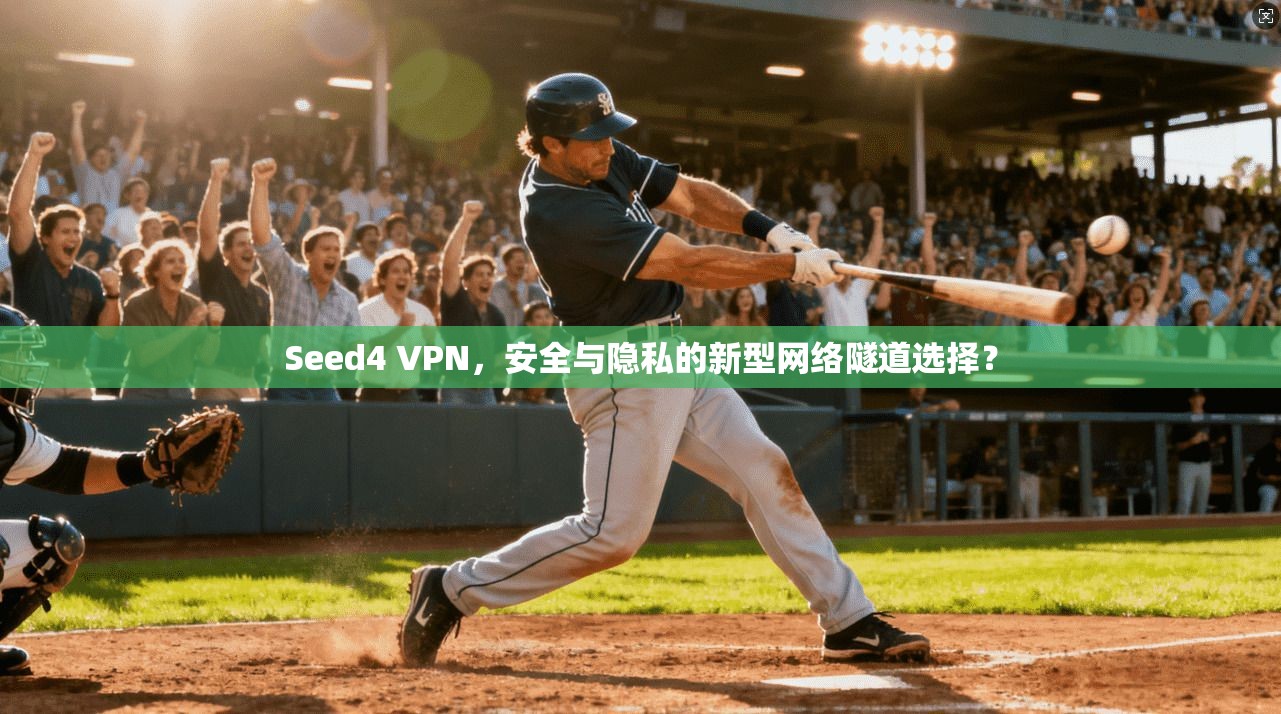 Seed4 VPN,安全与隐私的新型网络隧道选择? Seed4 VPN,安全与隐私的新型网络隧道选择?