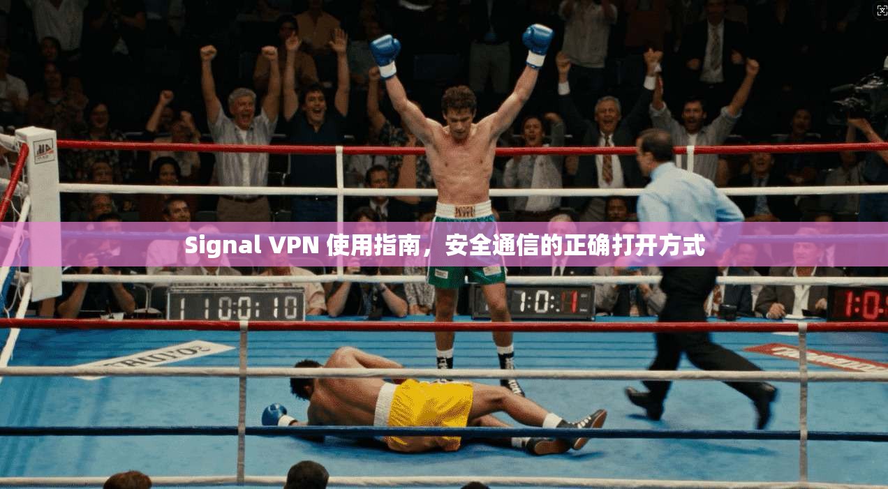 Signal VPN 使用指南,安全通信的正确打开方式 Signal VPN 使用指南,安全通信的正确打开方式