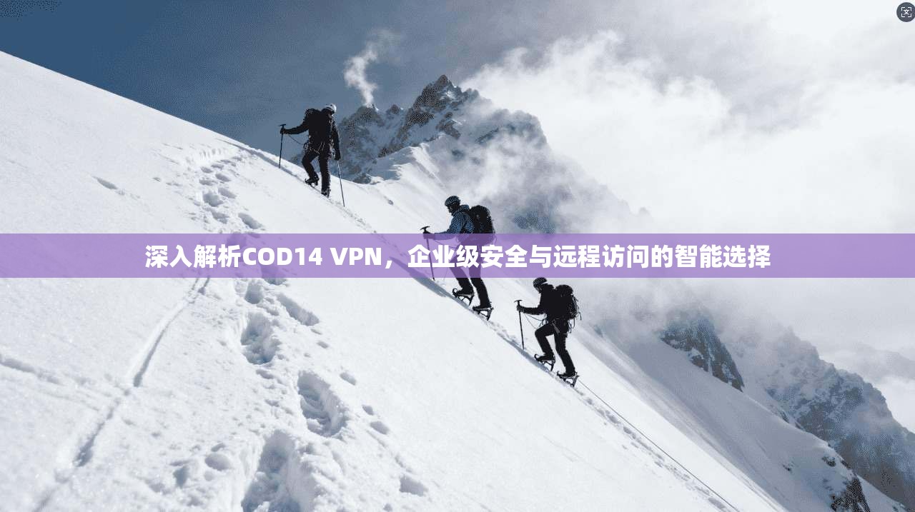 深入解析COD14 VPN,企业级安全与远程访问的智能选择 深入解析COD14 VPN,企业级安全与远程访问的智能选择