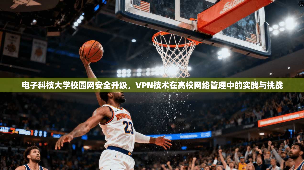 电子科技大学校园网安全升级,VPN技术在高校网络管理中的实践与挑战 电子科技大学校园网安全升级,VPN技术在高校网络管理中的实践与挑战