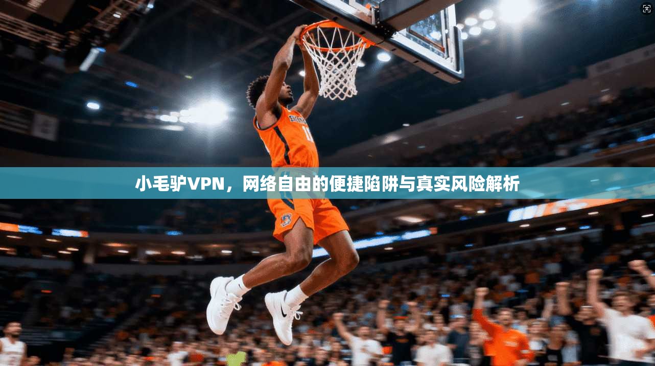 小毛驴VPN，网络自由的便捷陷阱与真实风险解析