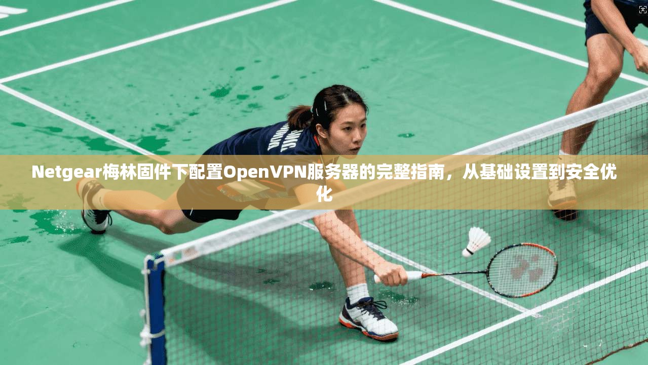 Netgear梅林固件下配置OpenVPN服务器的完整指南，从基础设置到安全优化