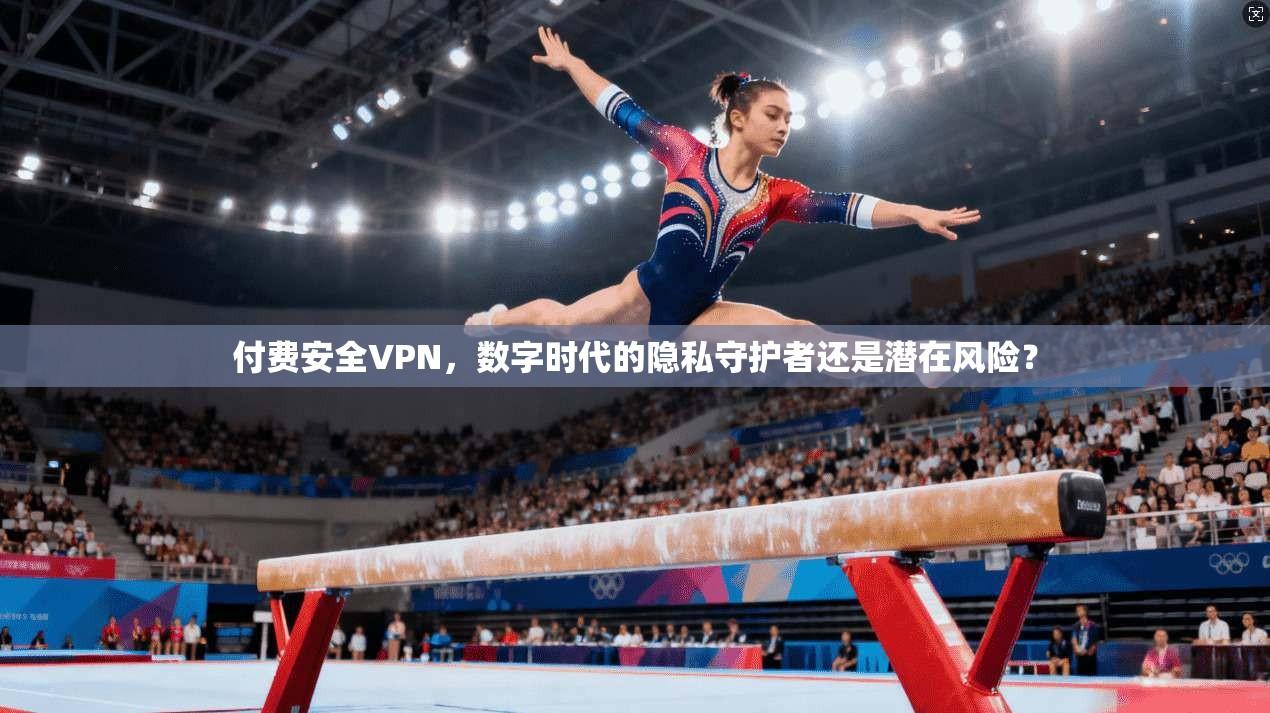 付费安全VPN，数字时代的隐私守护者还是潜在风险？