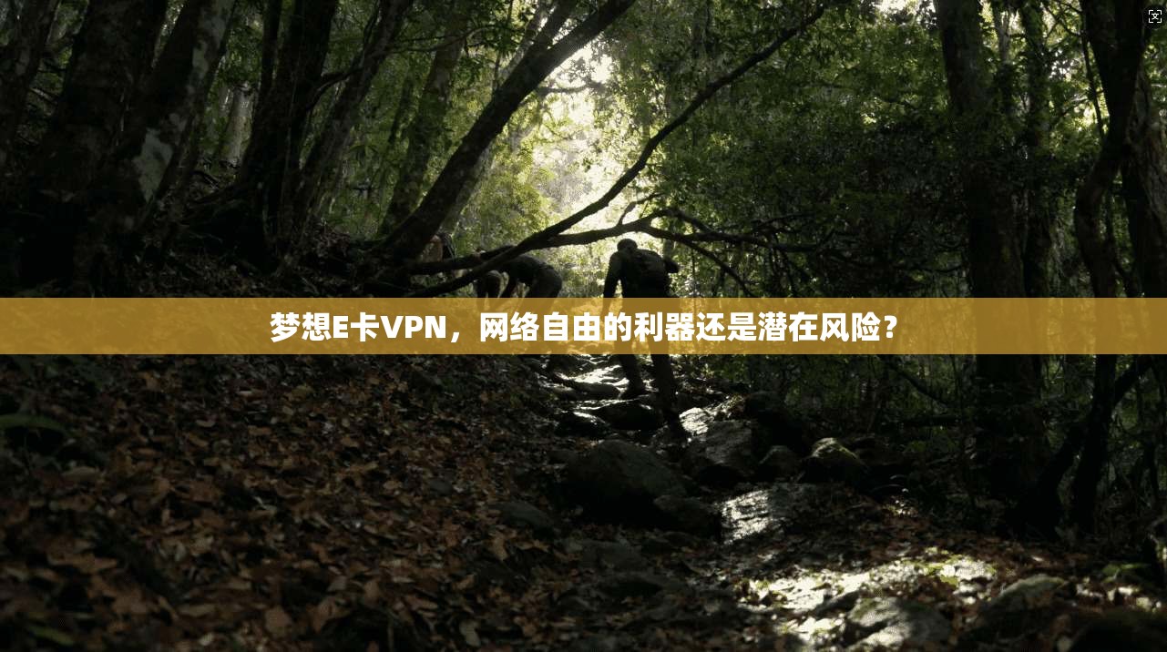梦想E卡VPN,网络自由的利器还是潜在风险? 梦想E卡VPN,网络自由的利器还是潜在风险?