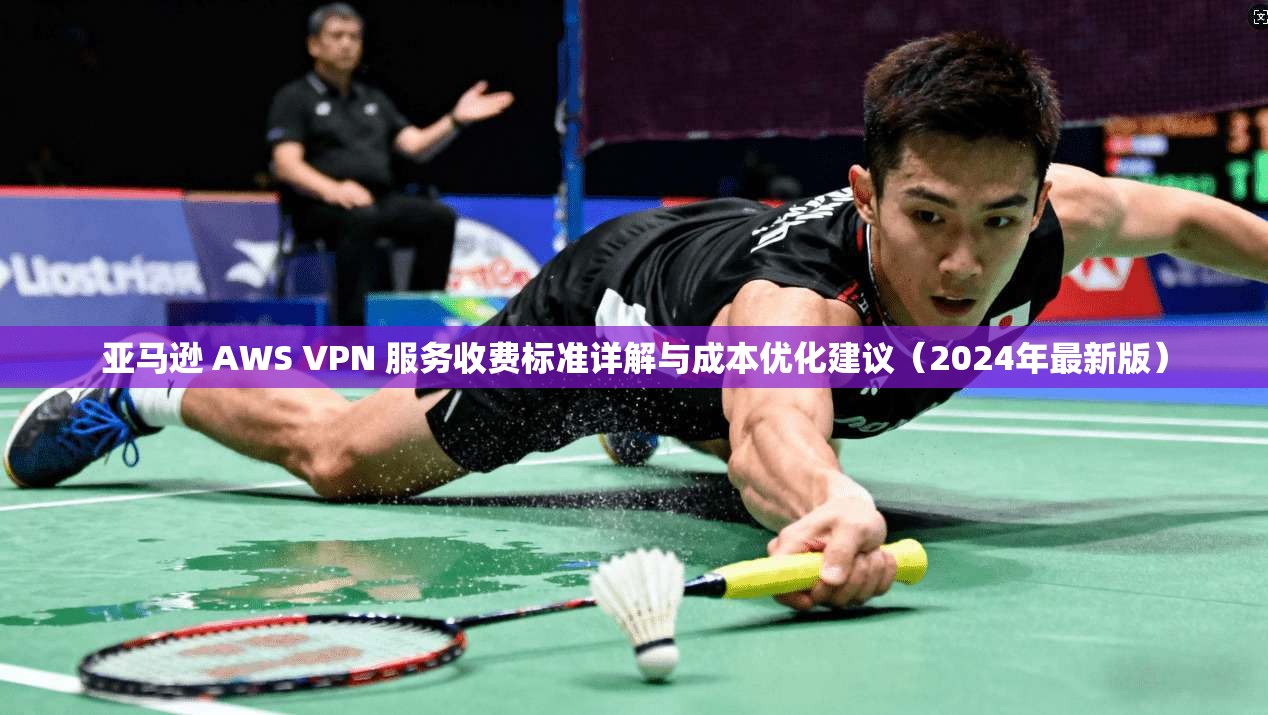 亚马逊 AWS VPN 服务收费标准详解与成本优化建议（2024年最新版）