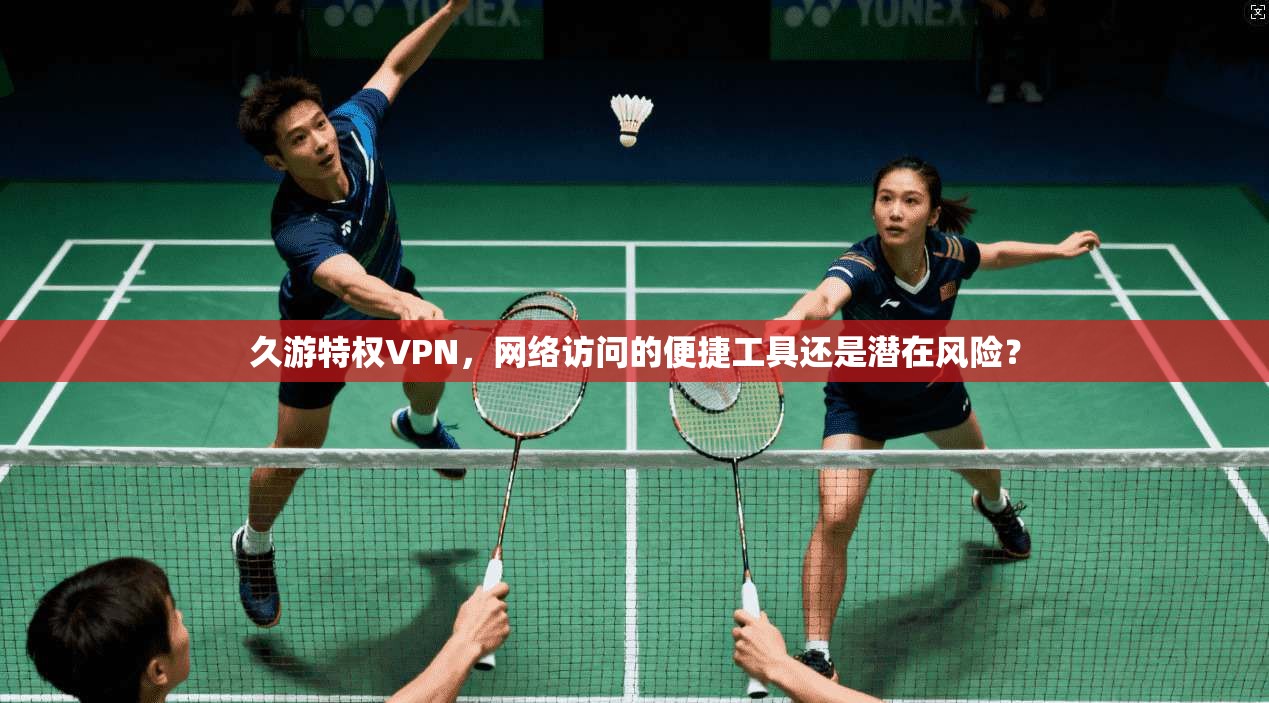 久游特权VPN，网络访问的便捷工具还是潜在风险？