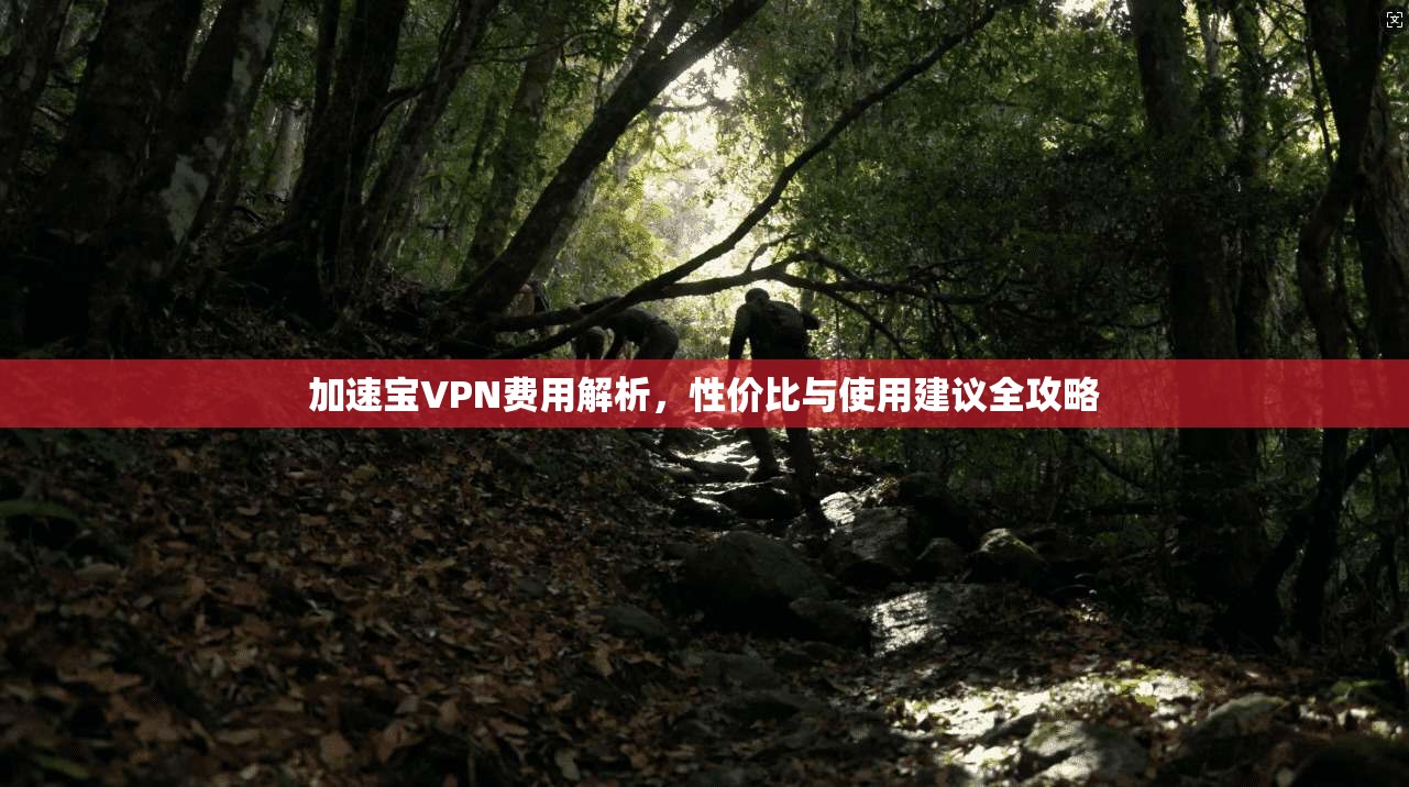 加速宝VPN费用解析，性价比与使用建议全攻略