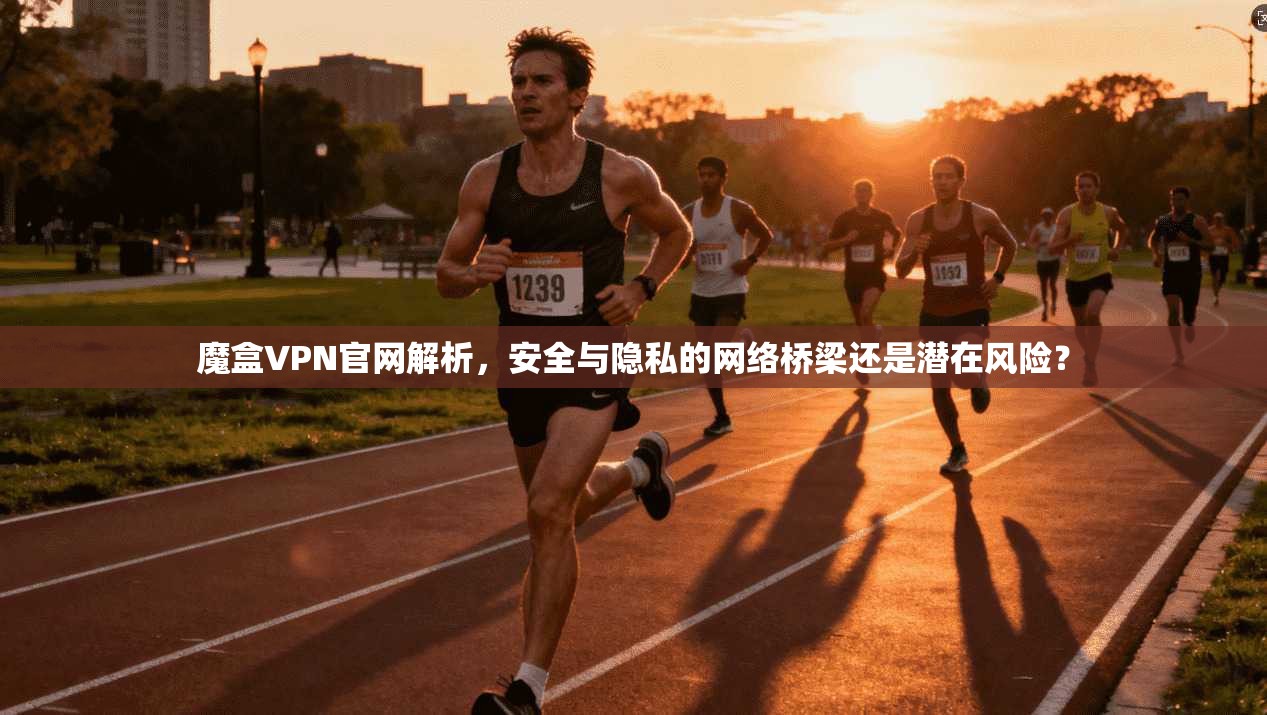 魔盒VPN官网解析,安全与隐私的网络桥梁还是潜在风险? 魔盒VPN官网解析,安全与隐私的网络桥梁还是潜在风险?