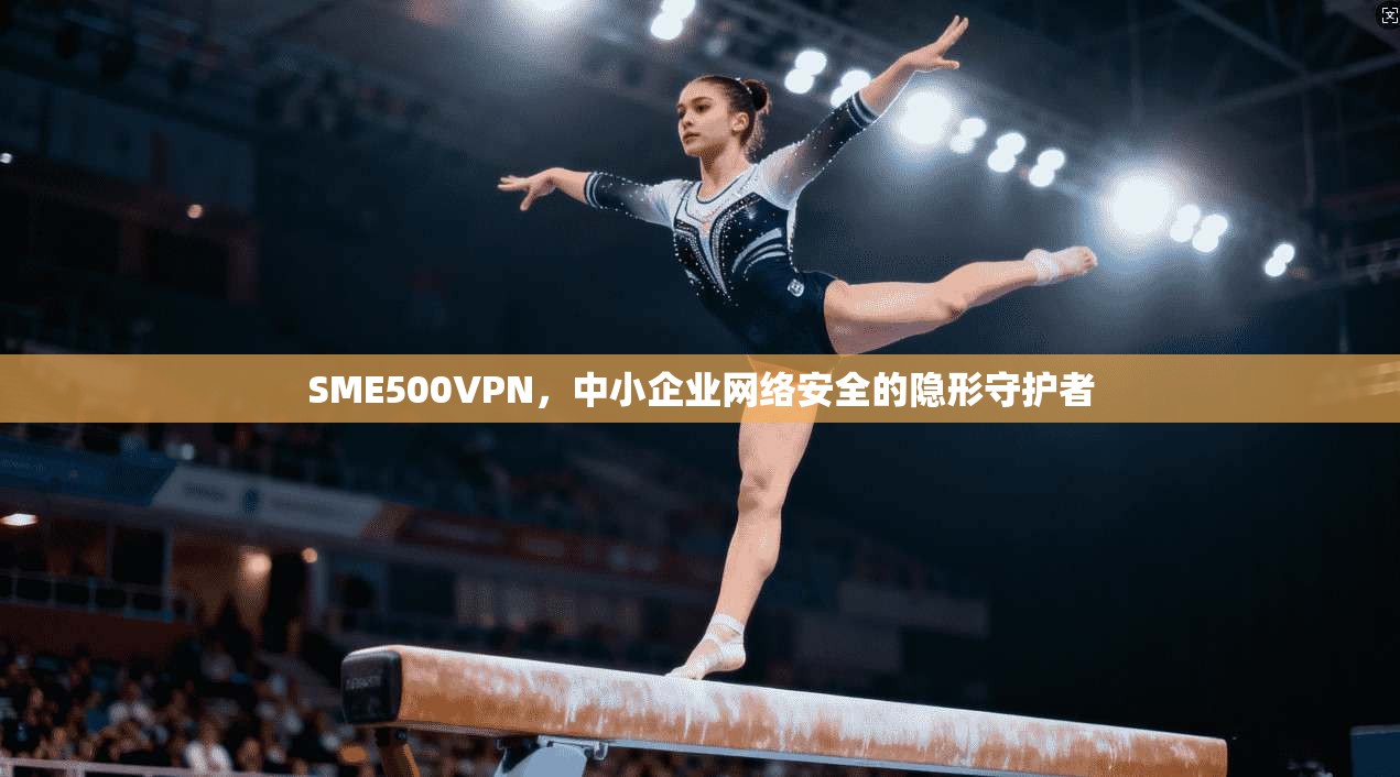 SME500VPN，中小企业网络安全的隐形守护者