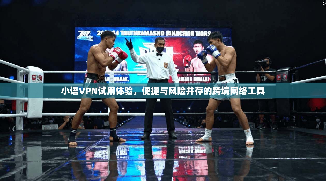 小语VPN试用体验，便捷与风险并存的跨境网络工具