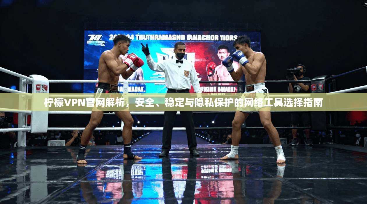 柠檬VPN官网解析,安全、稳定与隐私保护的网络工具选择指南 柠檬VPN官网解析,安全、稳定与隐私保护的网络工具选择指南