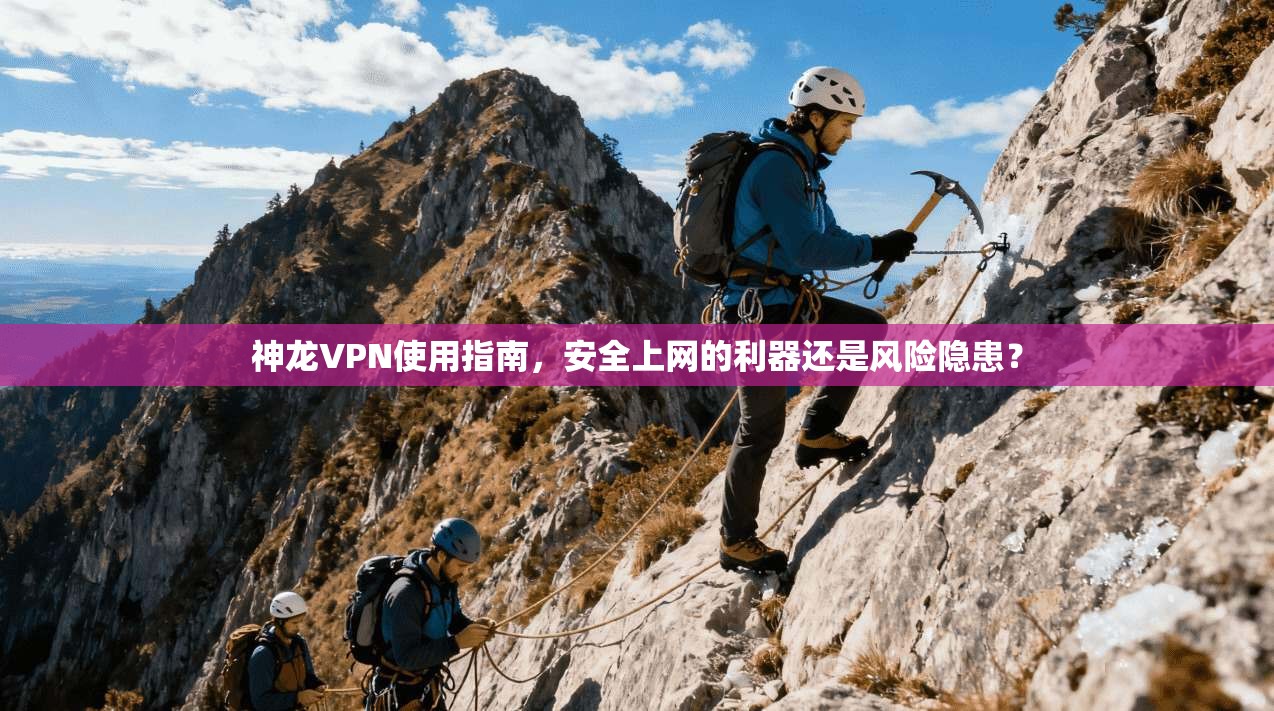神龙VPN使用指南，安全上网的利器还是风险隐患？