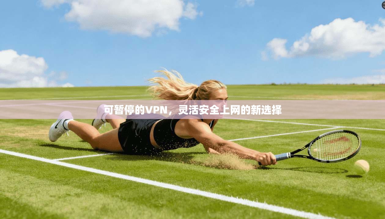 可暂停的VPN,灵活安全上网的新选择 可暂停的VPN,灵活安全上网的新选择