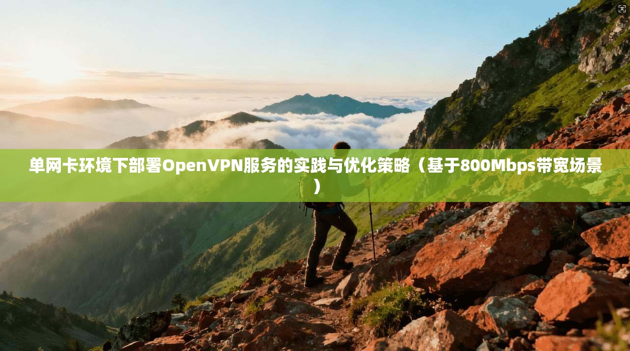 单网卡环境下部署OpenVPN服务的实践与优化策略(基于800Mbps带宽场景) 单网卡环境下部署OpenVPN服务的实践与优化策略(基于800Mbps带宽场景)