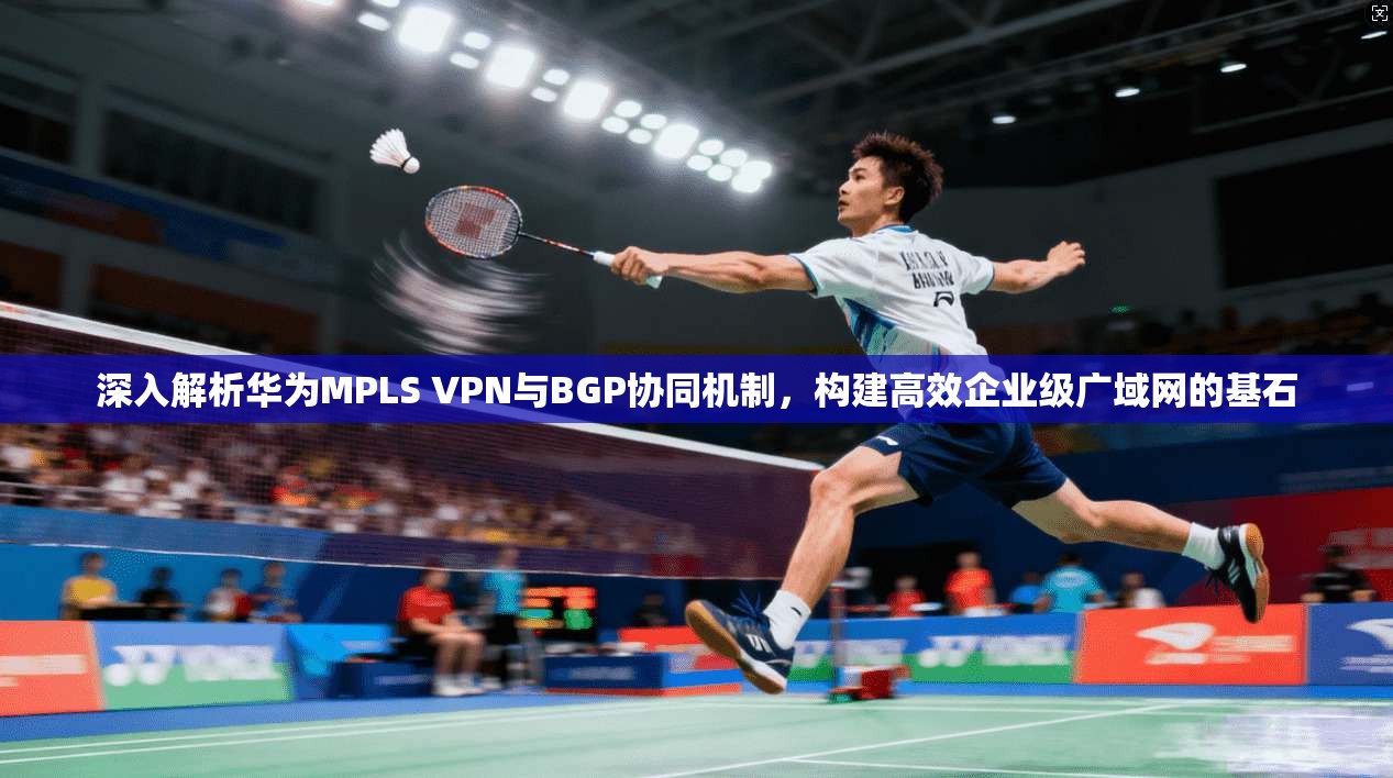 深入解析华为MPLS VPN与BGP协同机制，构建高效企业级广域网的基石