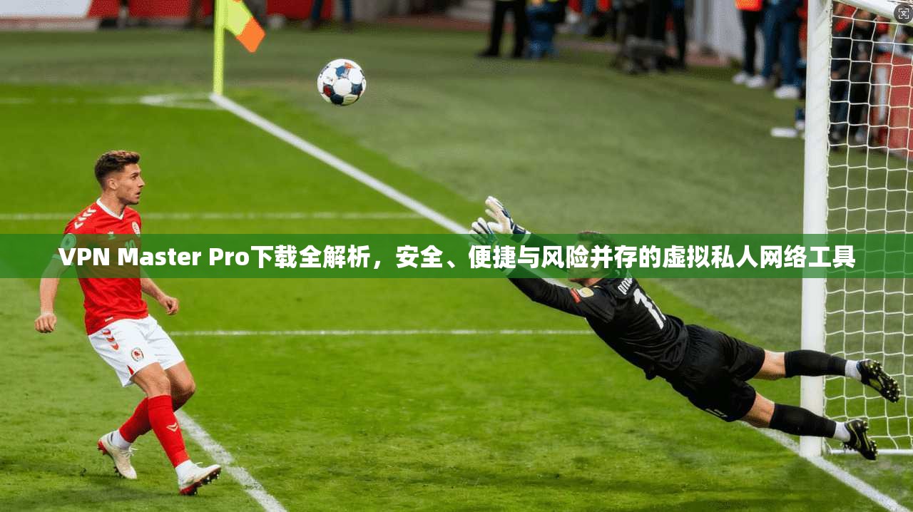 VPN Master Pro下载全解析,安全、便捷与风险并存的虚拟私人网络工具 VPN Master Pro下载全解析,安全、便捷与风险并存的虚拟私人网络工具